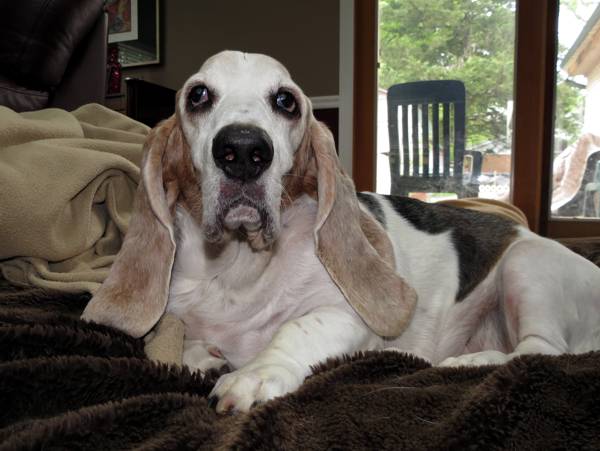 Gretchen