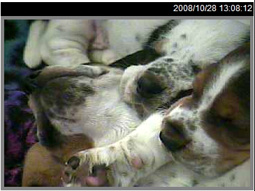 Snuggle Time
