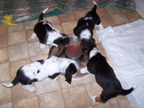 Snarf Time