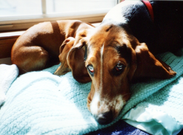 Bessie