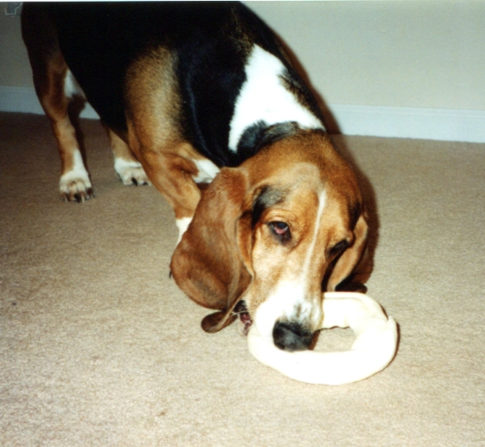 Bessie