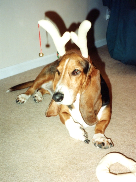 Bessie