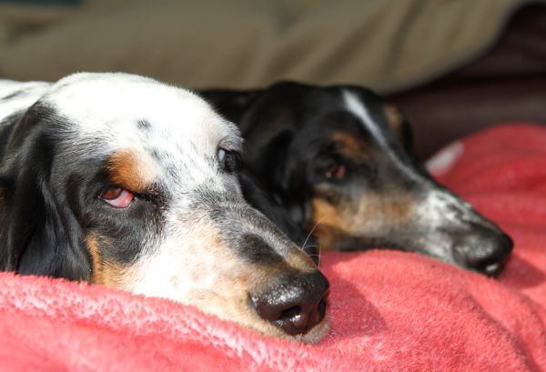 Izzi and Normie