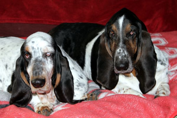 Izzi and Normie