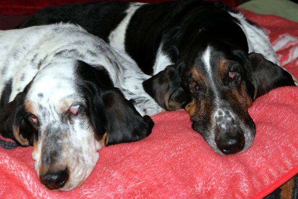 Izzi and Normie