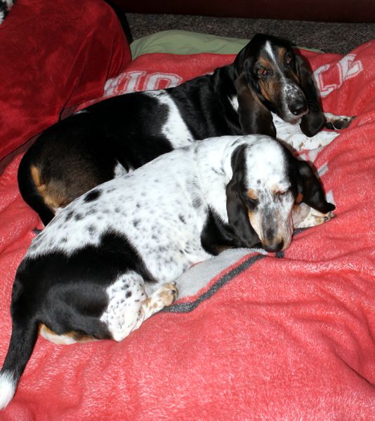 Izzi and Normie