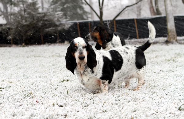 Isabella and Norm in first 2012 snowfall