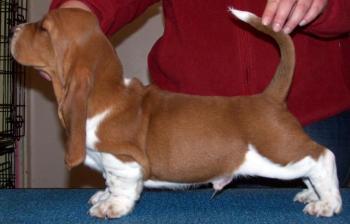 Noogent at 8 weeks
